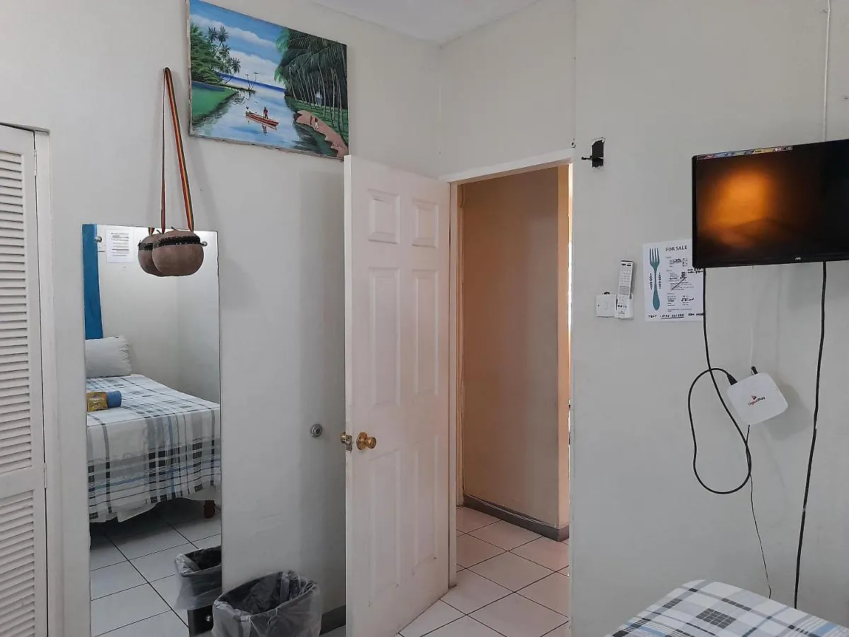 Camelia Rooms Kingston Kwatera prywatna